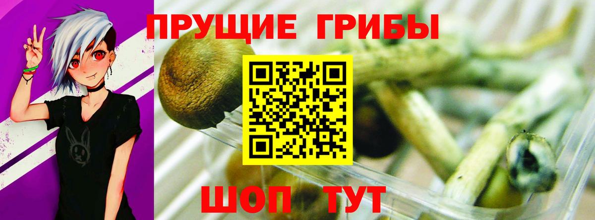 Псилоцибиновые грибы MAGIC MUSHROOMS  Псилоцибиновые грибы ЛСД  Вход с VPN  Канаш 