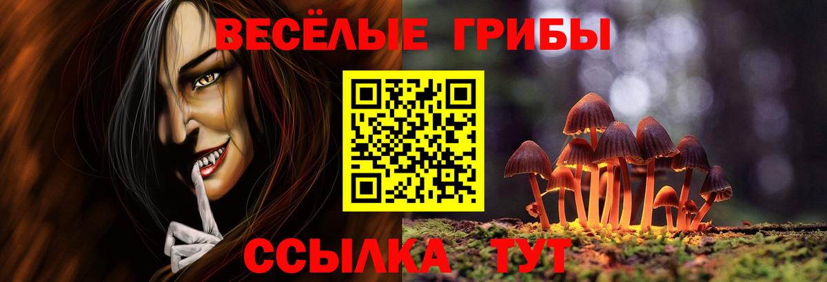 Псилоцибиновые грибы Cubensis Канаш